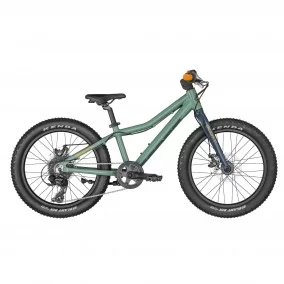 Bicicleta Scott Roxter 20 Green 2022