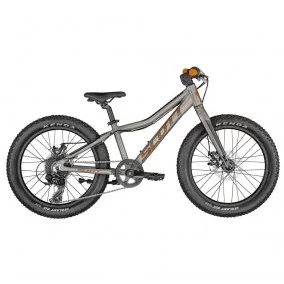 Bicicleta Scott Roxter 20 Silver (Kh) 2024