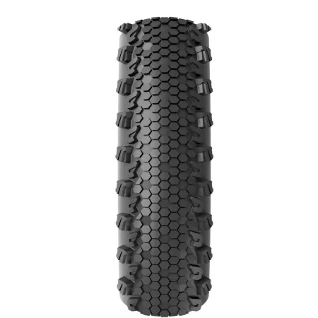 Tire Vittoria Dry land G2 TNT