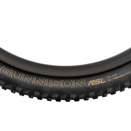 Cover Bontrager Gunnison RSL TLR MTB