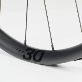 Rueda Trasera Bontrager Paradigm Pro 30 TLR Disc Carretera