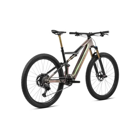 Rise M-Ltd 2024