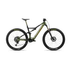 Rise M-Ltd 2024