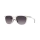 Niebla mate Prizm gris degradado