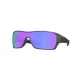 Acero Mate Prizm Violet Polarized