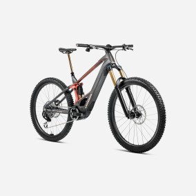 Bicicleta Orbea Wild M-Ltd 2025