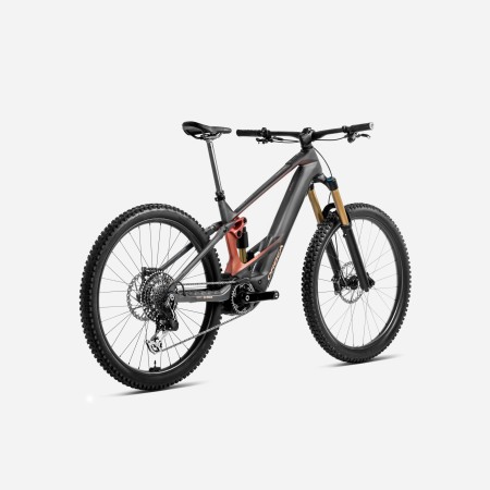 Bicicleta Orbea Wild M-Ltd 2025