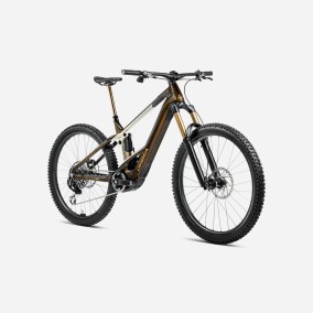 Bicicleta Orbea Wild M-Ltd 2025