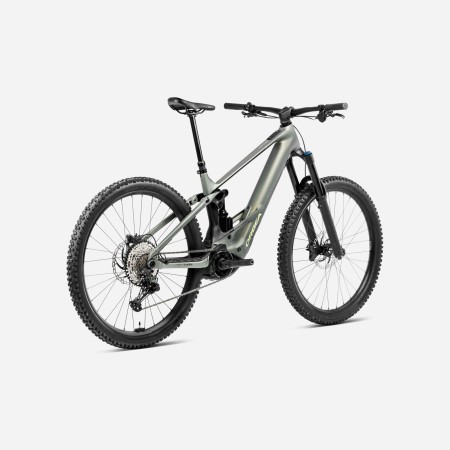 Bcicleta Orbea Wild H10 2025