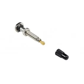 Tubeless valves Bontrager TLR