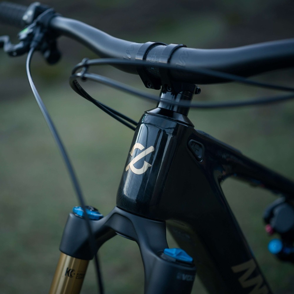 Bicicleta Amflow PL Carbon Pro 2025 | Eléctricas Doble