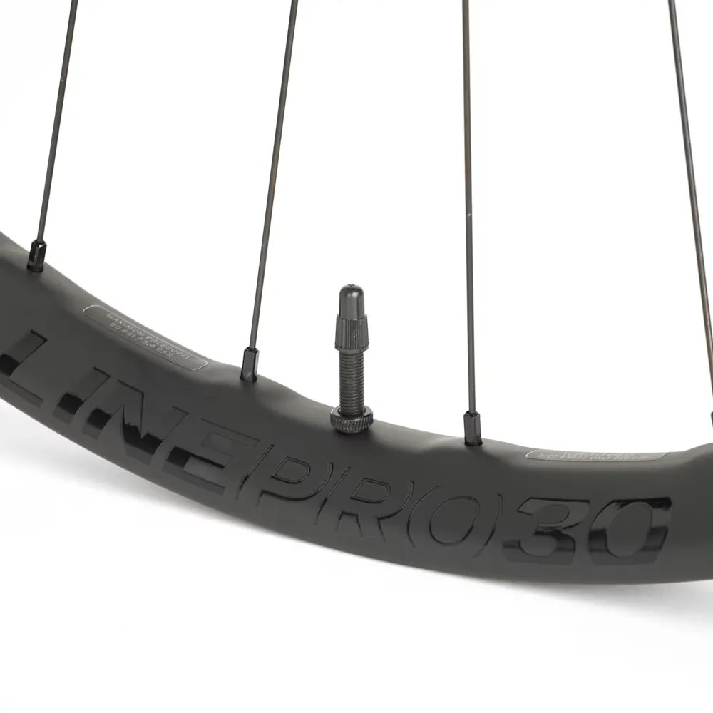 Rueda Delantera Bontrager Line Pro 30 TLR Boost 29 Montaña