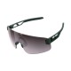 Pargasite Green/Clarity Road/Sunny Silver