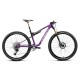 Bicicleta Orbea Oiz M TEAM Factory Royal Plum/Diamond Black Carbon View 2027