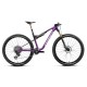 Bicicleta Orbea Oiz M LTD Royal Plum/Diamond Black Carbon View 2027