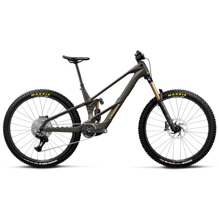 Bicicleta Orbea Wild LT M10 Magic Gold C. View/Titan Gold 2027