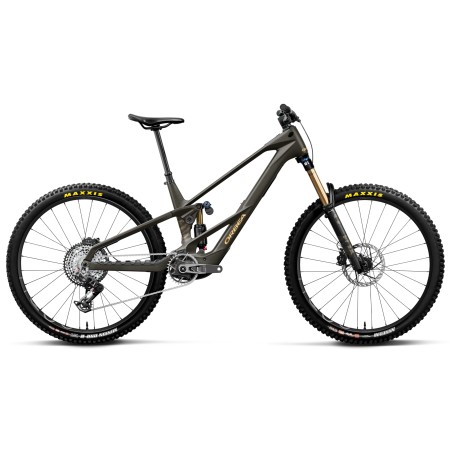 Bicicleta Orbea Wild LT M Team RS Magic Gold C. View/Titan Gold 2027