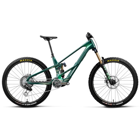 Bicicleta Orbea Wild LT M LTD RS Escape Green C. View/Mintalized 2027