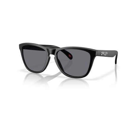 Gafas Oakley Frogskins Negro mate Gris