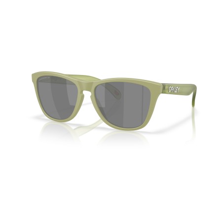 Gafas de sol Oakley Frogskins Helecho Mate Prizm Black