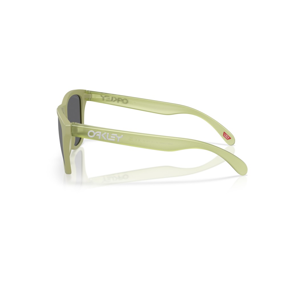Gafas de sol Oakley Frogskins Helecho Mate Prizm Black