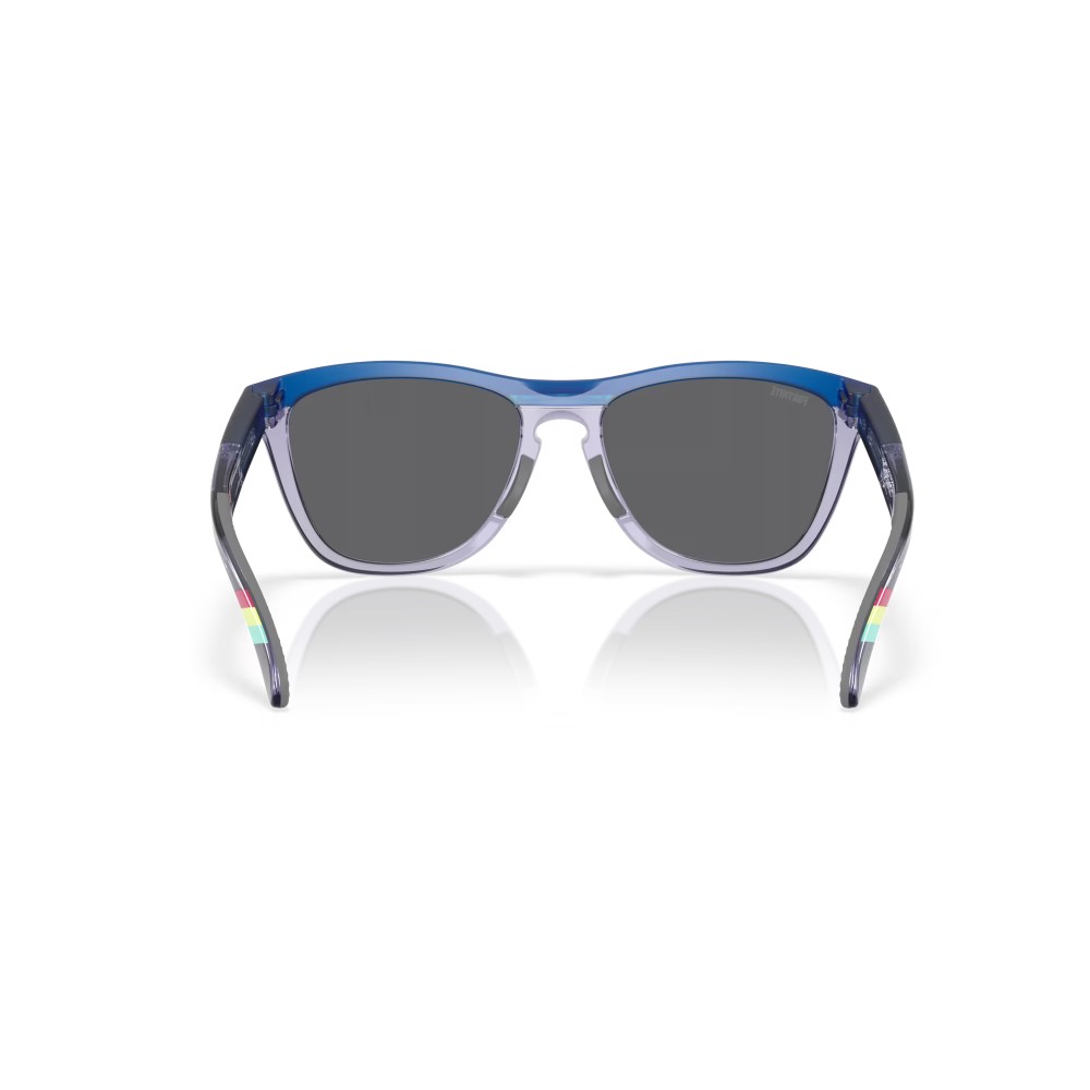 Gafas de sol Oakley Frogskins Range Gris Mate Transparente