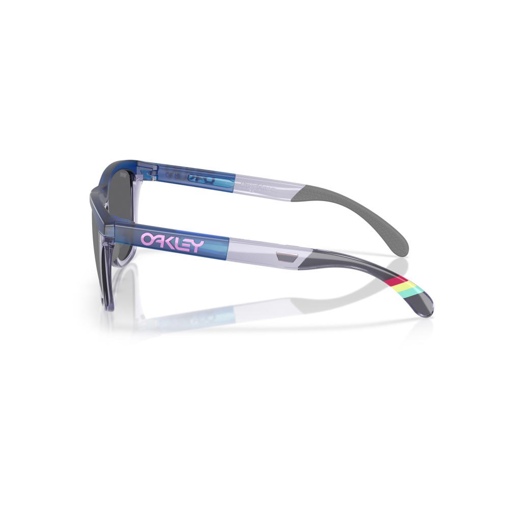 Gafas de sol Oakley Frogskins Range Gris Mate Transparente
