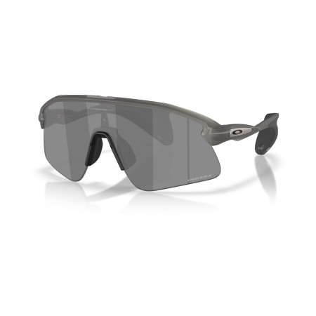 Gafas Oakley Stunt Devil Grey Smoke Prizm Black