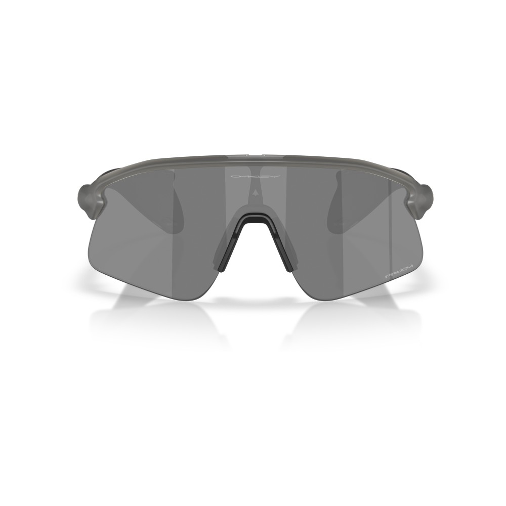 Gafas Oakley Stunt Devil Grey Smoke Prizm Black