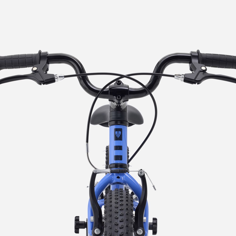 Bicicleta Trek Precaliber 16 Freewheel Fjord Blue 2027