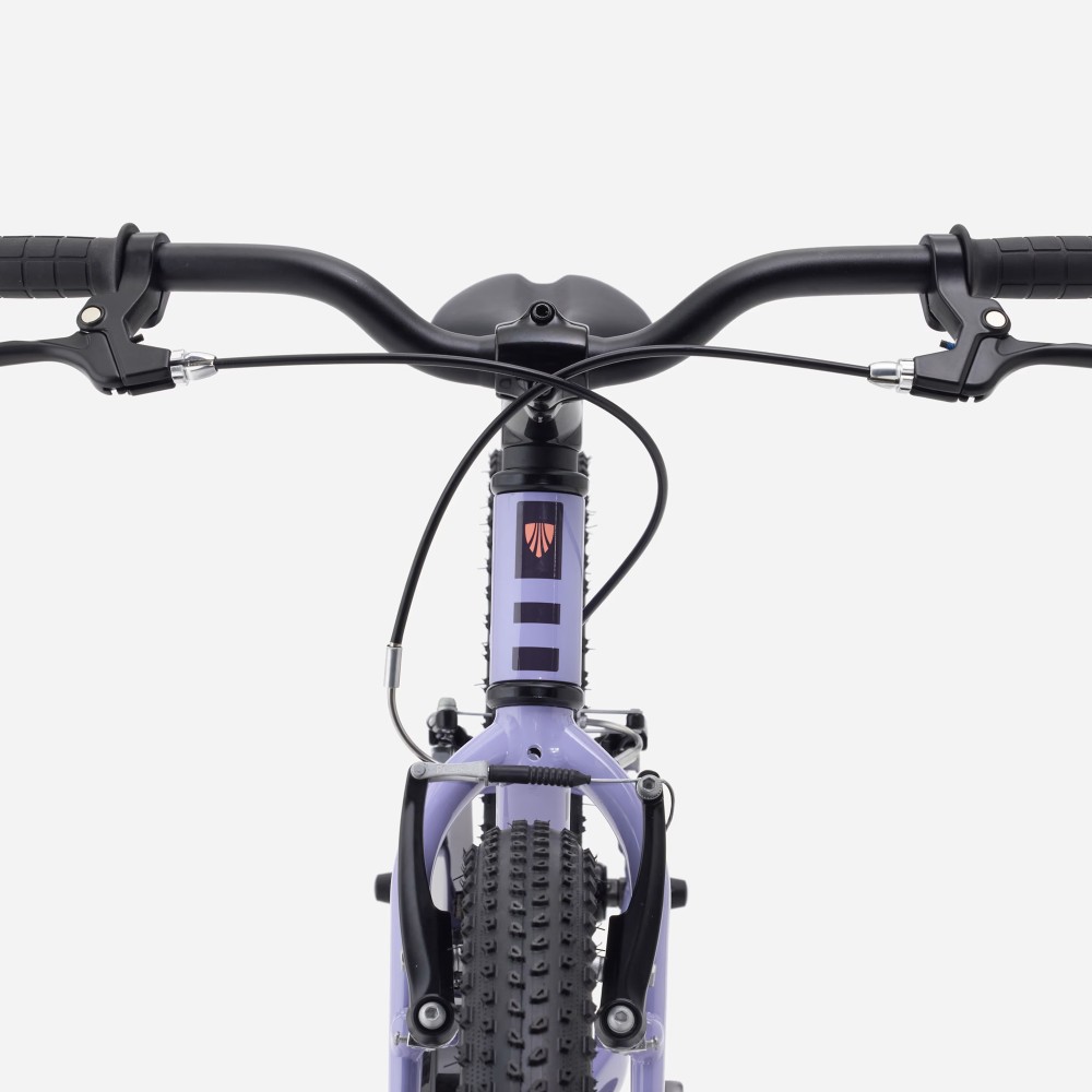 Bicicleta Trek Precaliber 20 Lavender Haze 2027